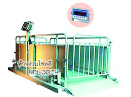 ชุดเครื่องอ่านน้ำหนักรุ่น T-7531 เครื่องชั่งปศุสัตว์ (วัว)