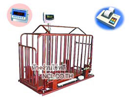 ชุดเครื่องอ่านน้ำหนักรุ่น T-7532 เครื่องชั่งปศุสัตว์ (หมู)